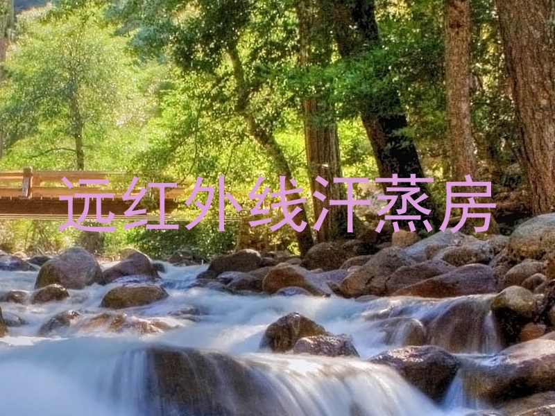 远红外线汗蒸房