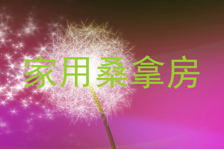家用桑拿房