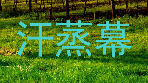 汗蒸幕