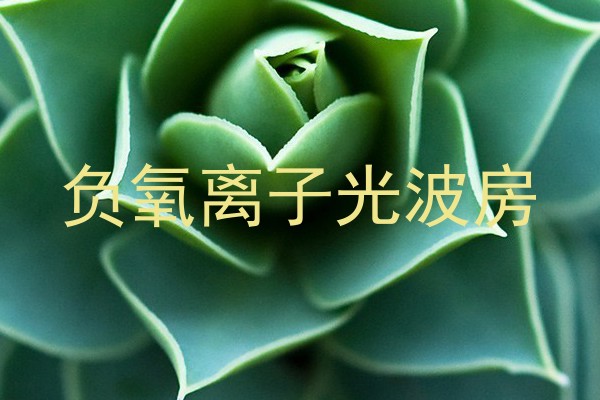 负氧离子光波房