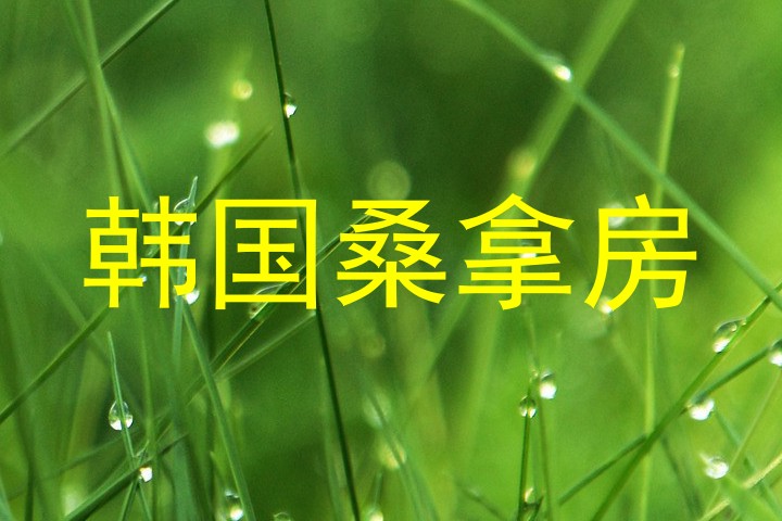 韩国桑拿房