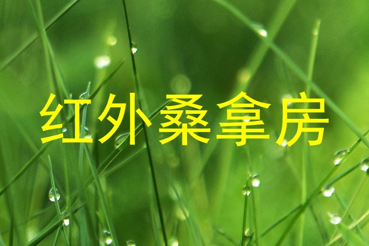 红外桑拿房