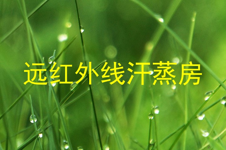远红外线汗蒸房