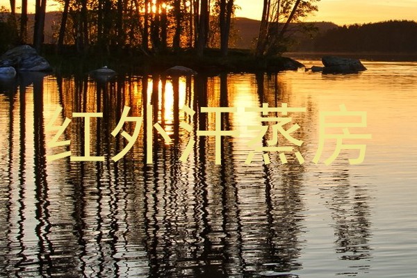 红外汗蒸房