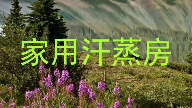 家用汗蒸房