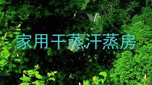 家用干蒸汗蒸房