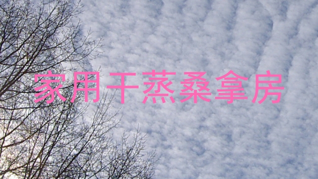 家用干蒸桑拿房