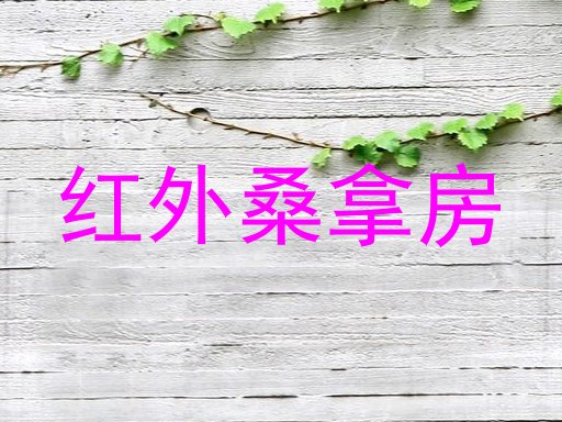 红外桑拿房