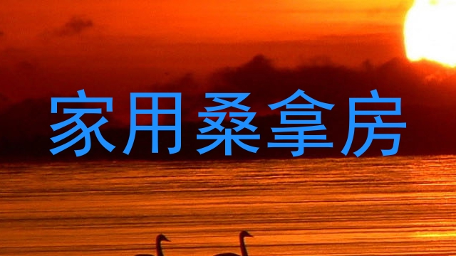 家用桑拿房
