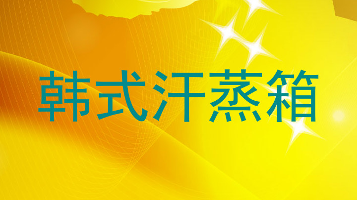 韩式汗蒸箱