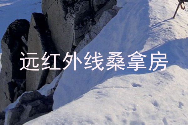 远红外线桑拿房