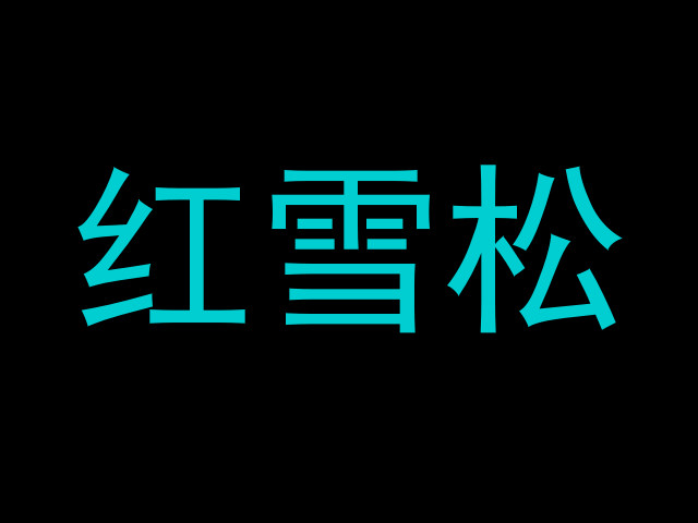 红雪松