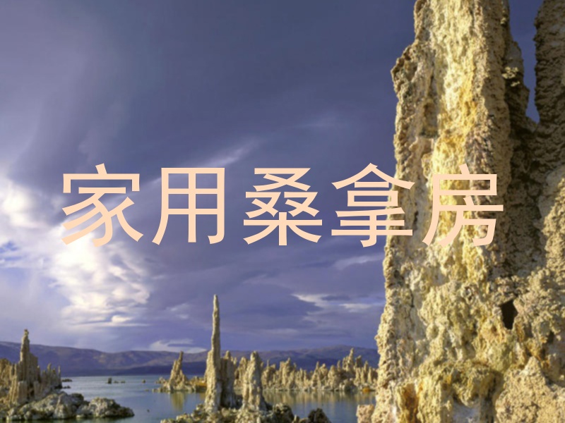 家用桑拿房
