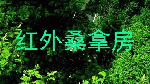 红外桑拿房