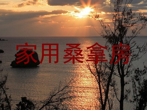 家用桑拿房