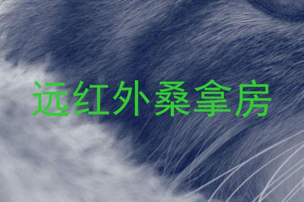 远红外桑拿房