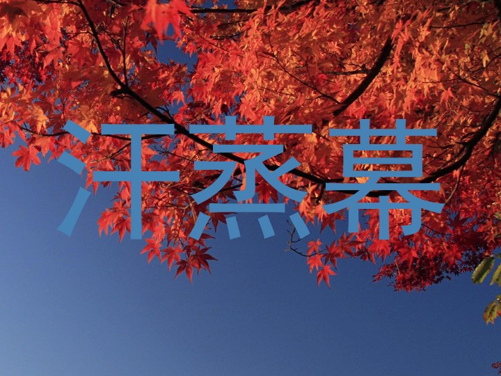 汗蒸幕