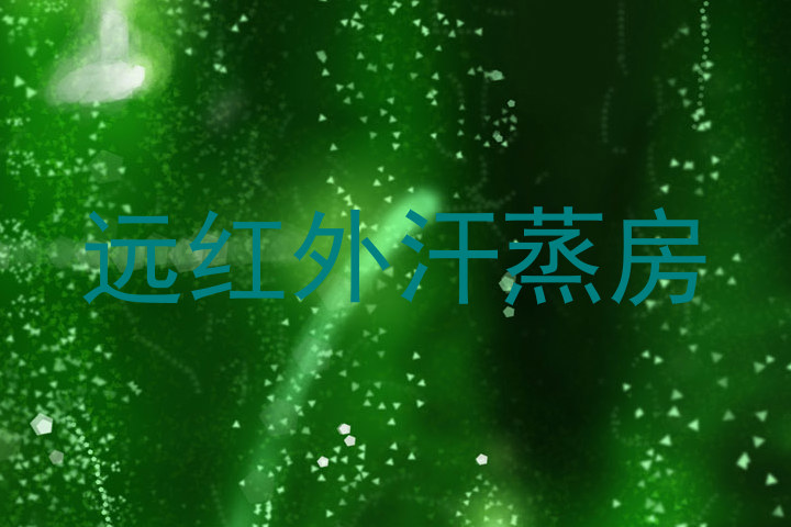 远红外汗蒸房