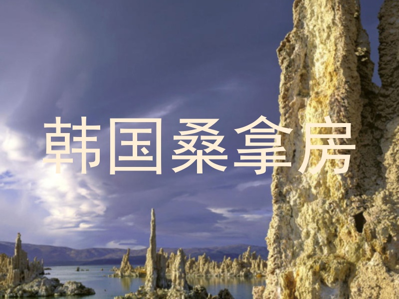 韩国桑拿房