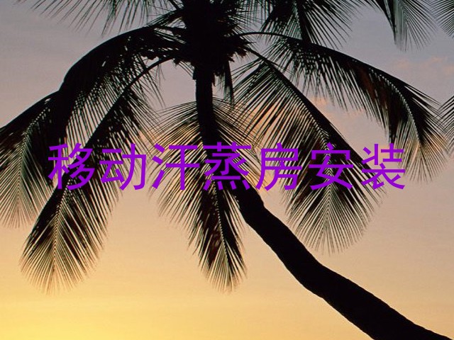 移动汗蒸房安装