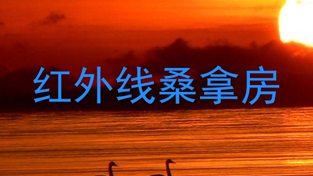 红外线桑拿房