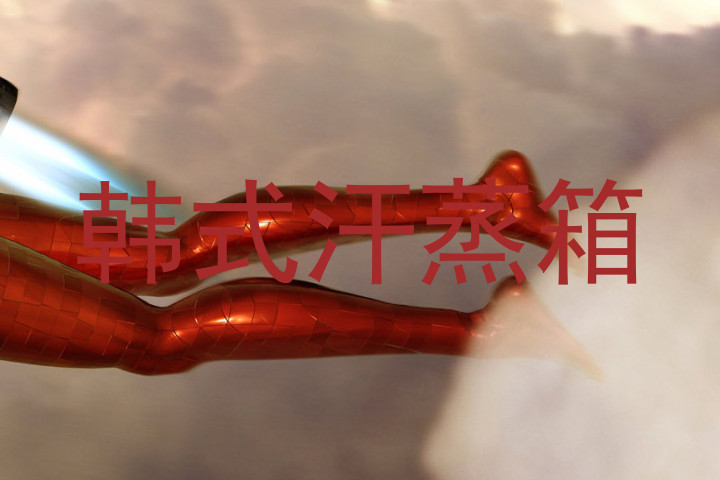 韩式汗蒸箱