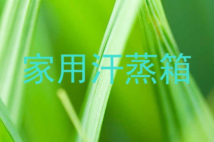 家用汗蒸箱
