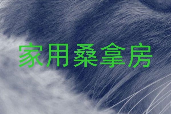 家用桑拿房