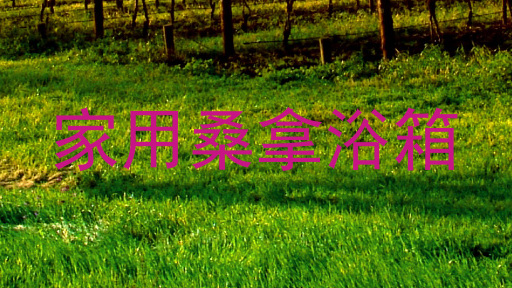 家用桑拿浴箱