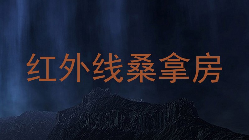 红外线桑拿房