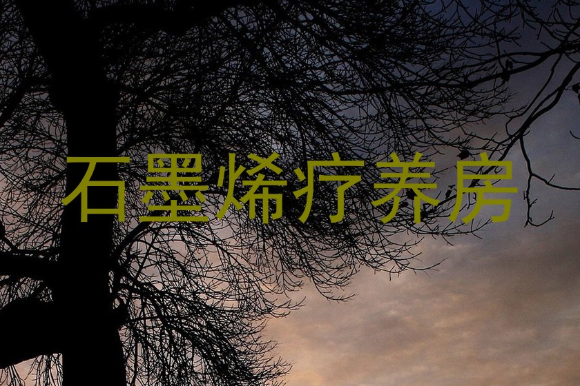 石墨烯疗养房