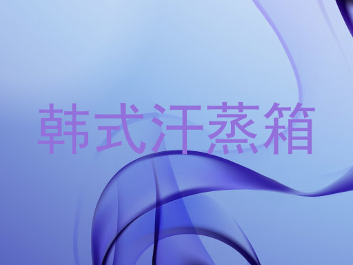 韩式汗蒸箱