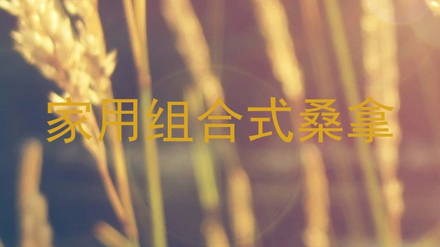 家用组合式桑拿