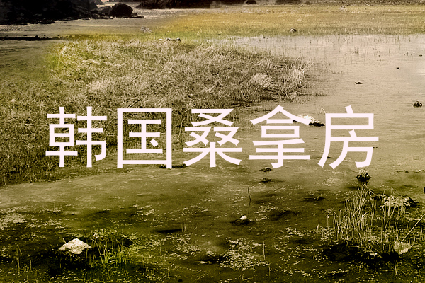 韩国桑拿房