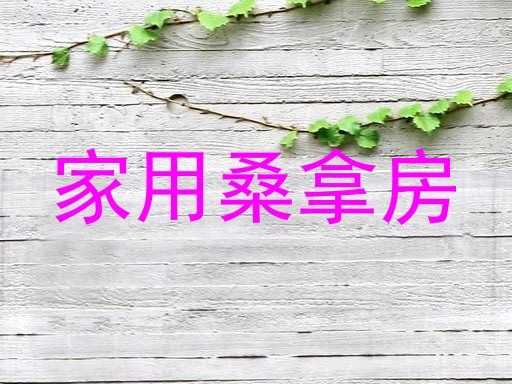 家用桑拿房