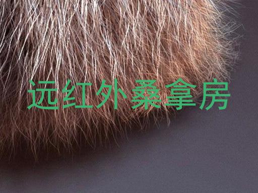 远红外桑拿房