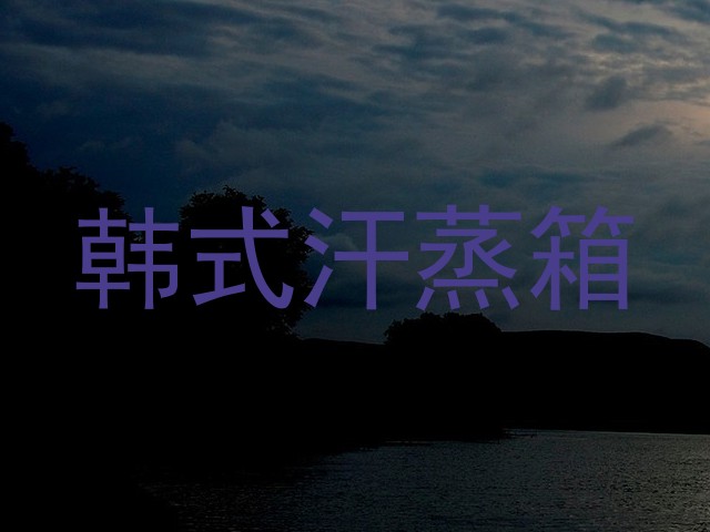 韩式汗蒸箱