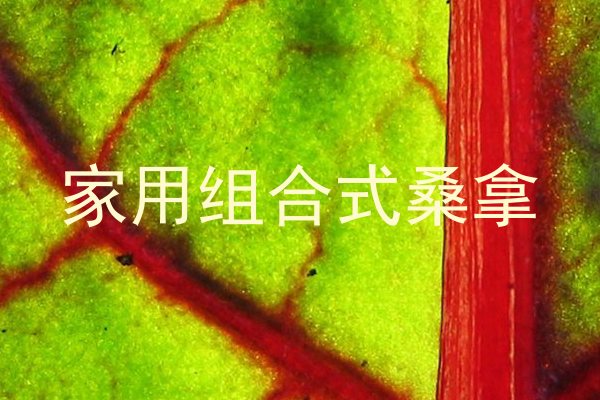家用组合式桑拿
