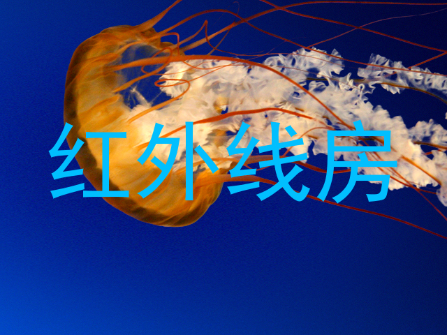 红外线房