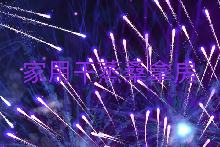 家用干蒸桑拿房