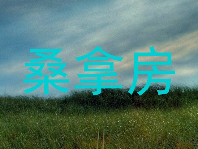 桑拿房