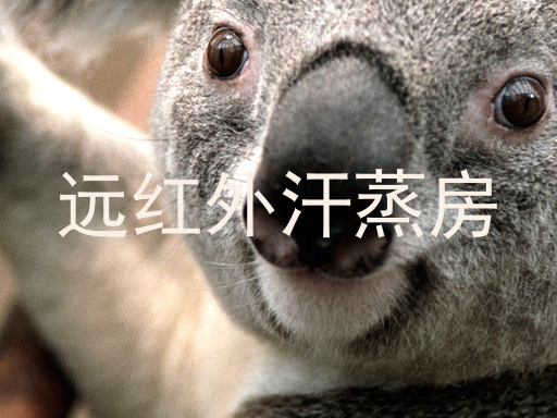 远红外汗蒸房