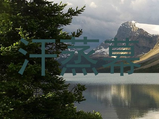 汗蒸幕