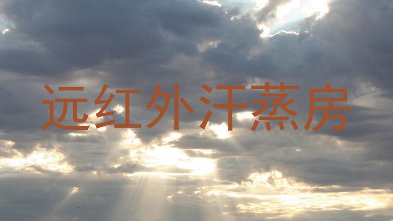 远红外汗蒸房
