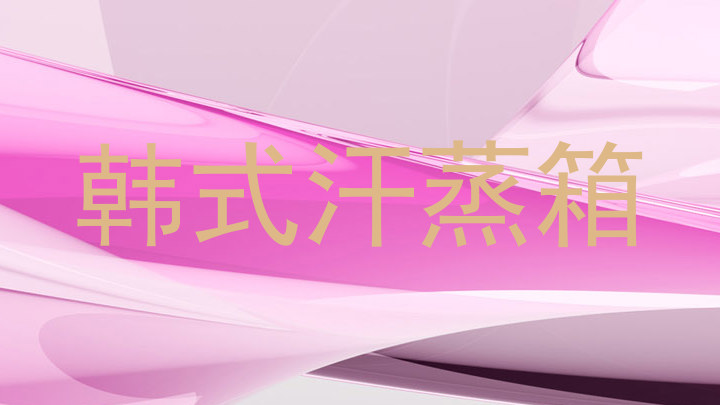 韩式汗蒸箱