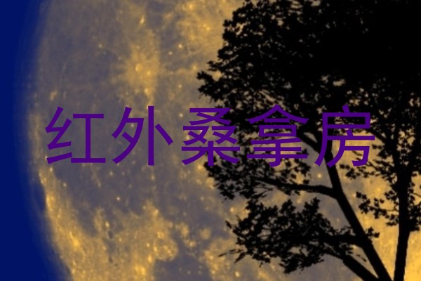 红外桑拿房
