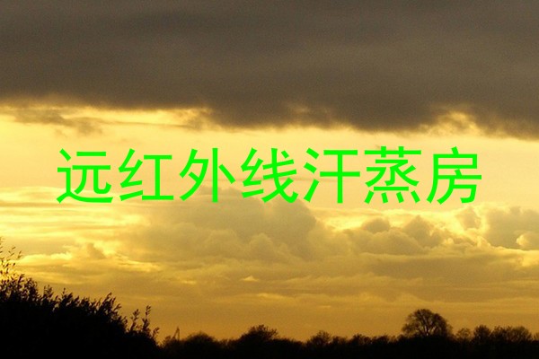 远红外线汗蒸房