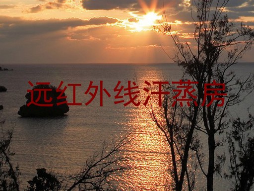 远红外线汗蒸房