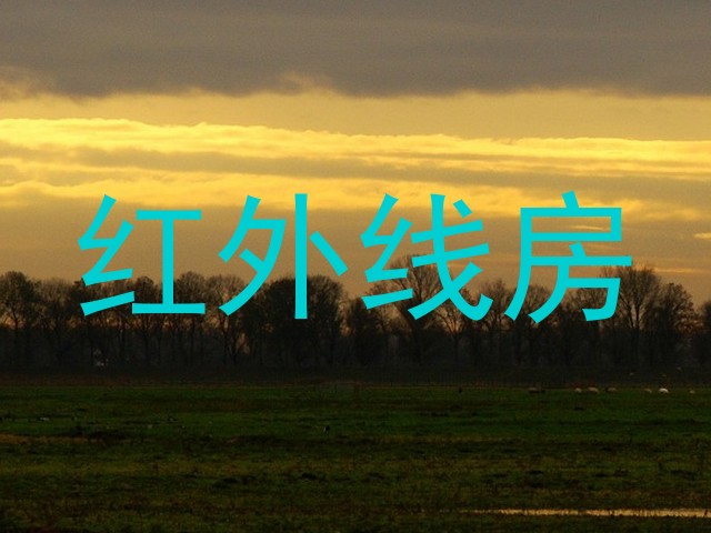 红外线房