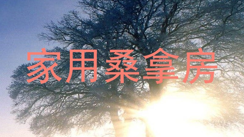家用桑拿房